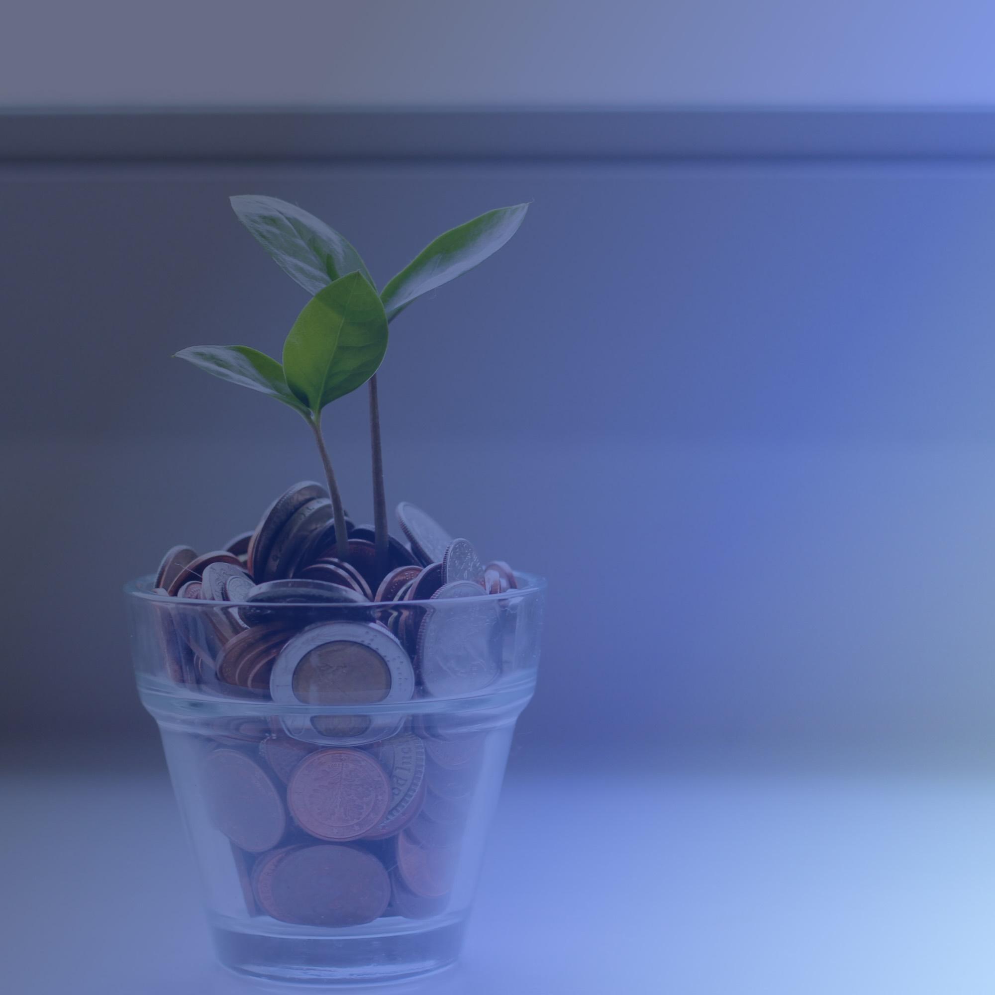 Crypto in Your 401(k)? What the New Executive Order Means for Retirement Investors