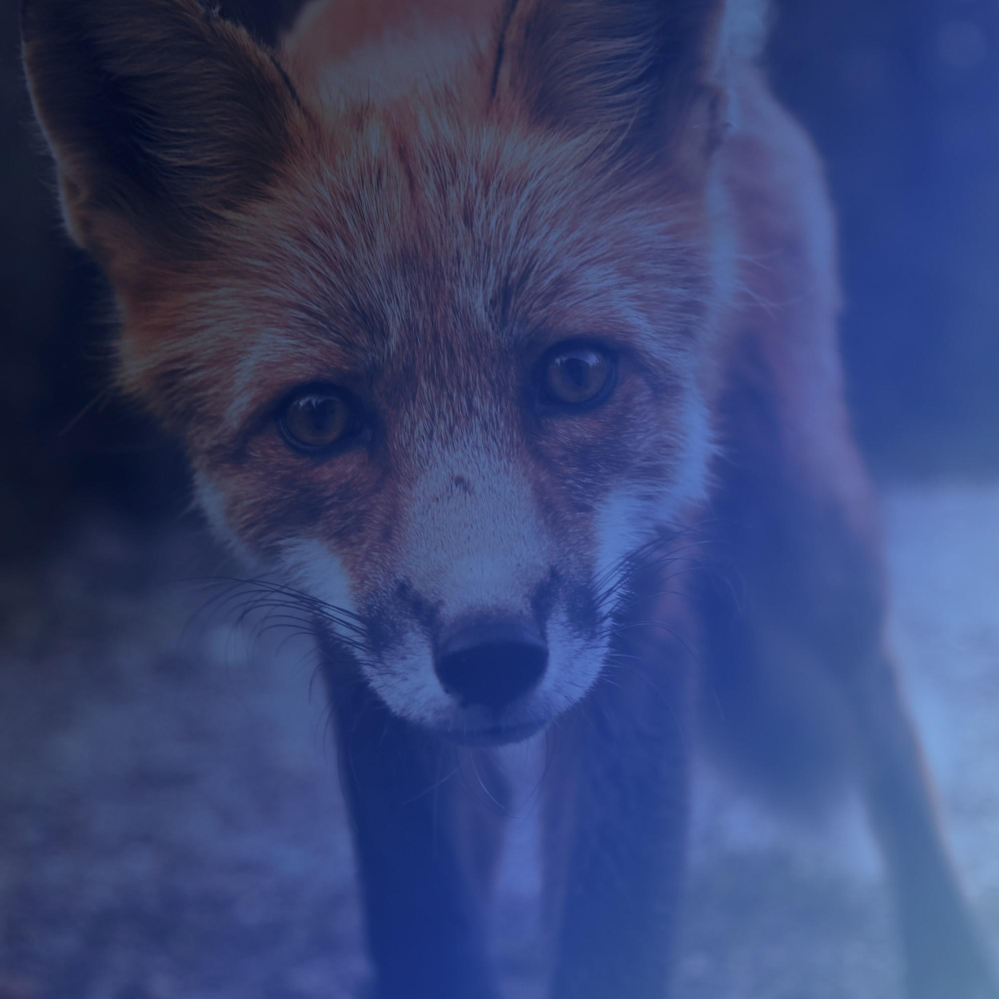 How to Verify Your MetaMask Wallet: A Step-by-Step Guide