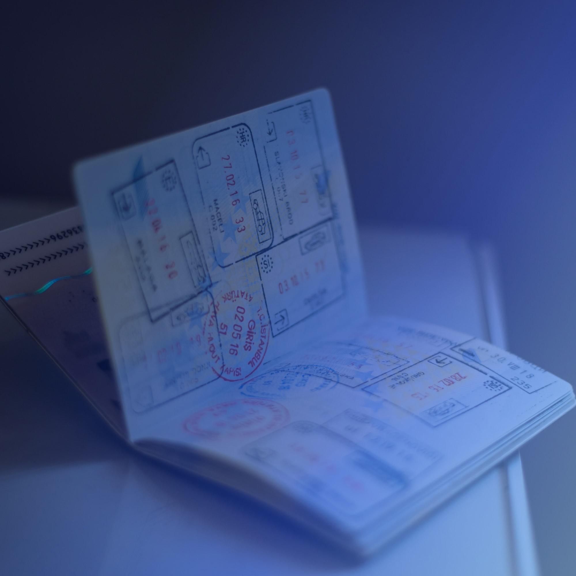 Self-Custody Verification for Immigration and Residency Applications